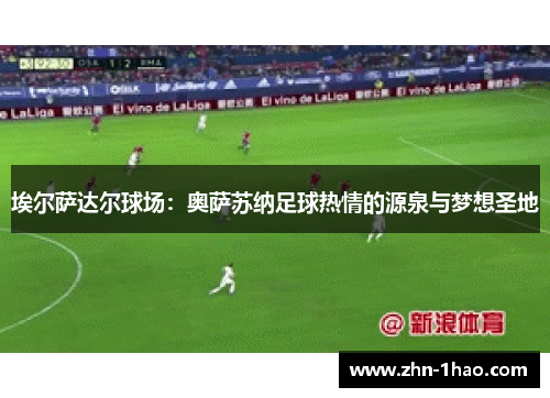 埃尔萨达尔球场：奥萨苏纳足球热情的源泉与梦想圣地