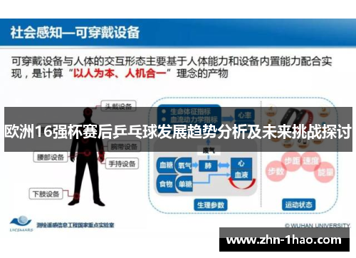 欧洲16强杯赛后乒乓球发展趋势分析及未来挑战探讨