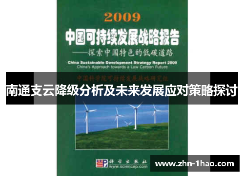 南通支云降级分析及未来发展应对策略探讨