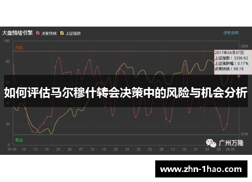 如何评估马尔穆什转会决策中的风险与机会分析