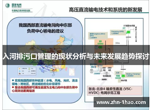 入河排污口管理的现状分析与未来发展趋势探讨