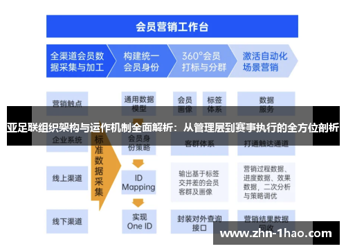 亚足联组织架构与运作机制全面解析：从管理层到赛事执行的全方位剖析