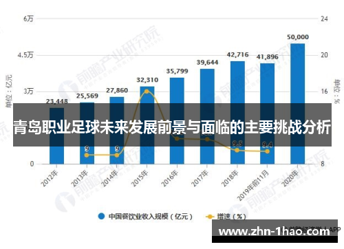 青岛职业足球未来发展前景与面临的主要挑战分析