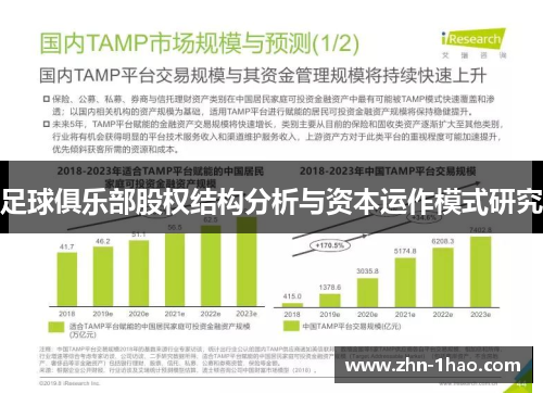 足球俱乐部股权结构分析与资本运作模式研究 足球俱乐部股权结构分析与资本运作模式研究