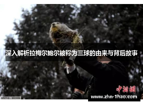 深入解析拉梅尔鲍尔被称为三球的由来与背后故事 深入解析拉梅尔鲍尔被称为三球的由来与背后故事