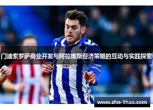 门迪索罗萨商业开发与阿拉维斯经济策略的互动与实践探索